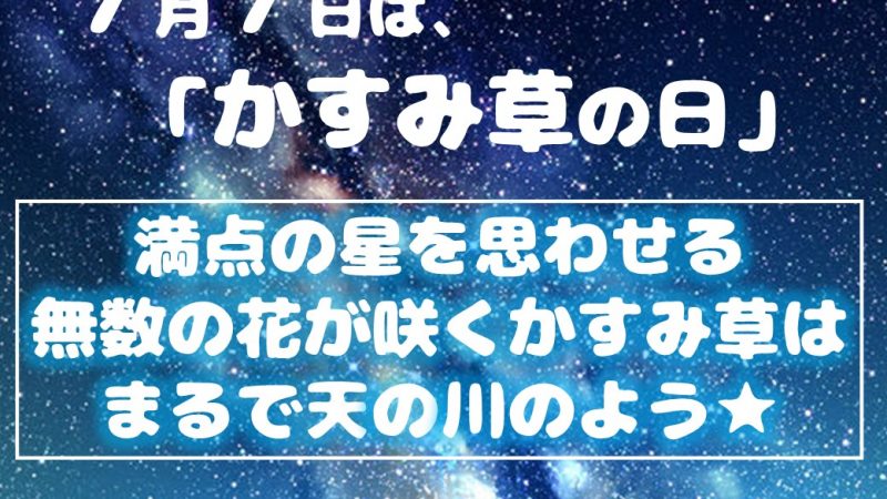 ＼ 5名様にかすみ草のブーケをプレゼント！　／