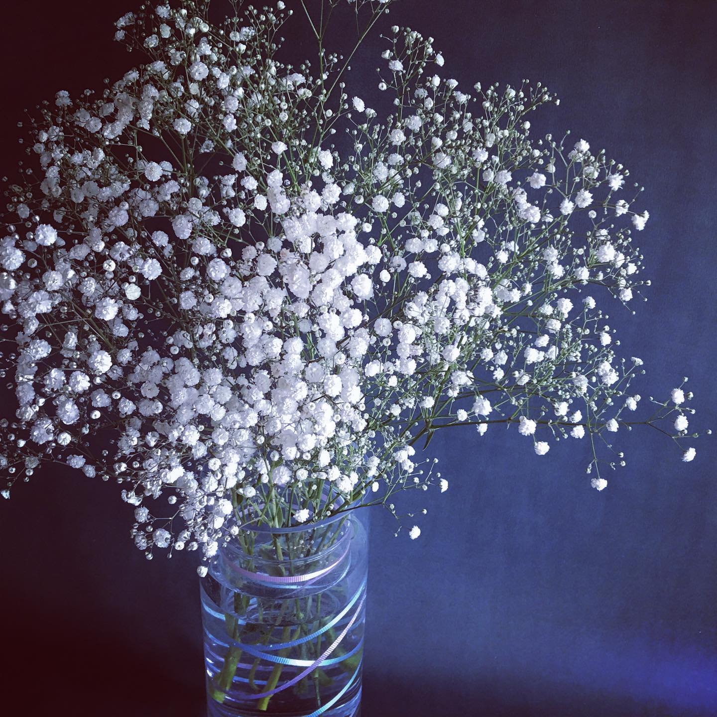 from Instagram_