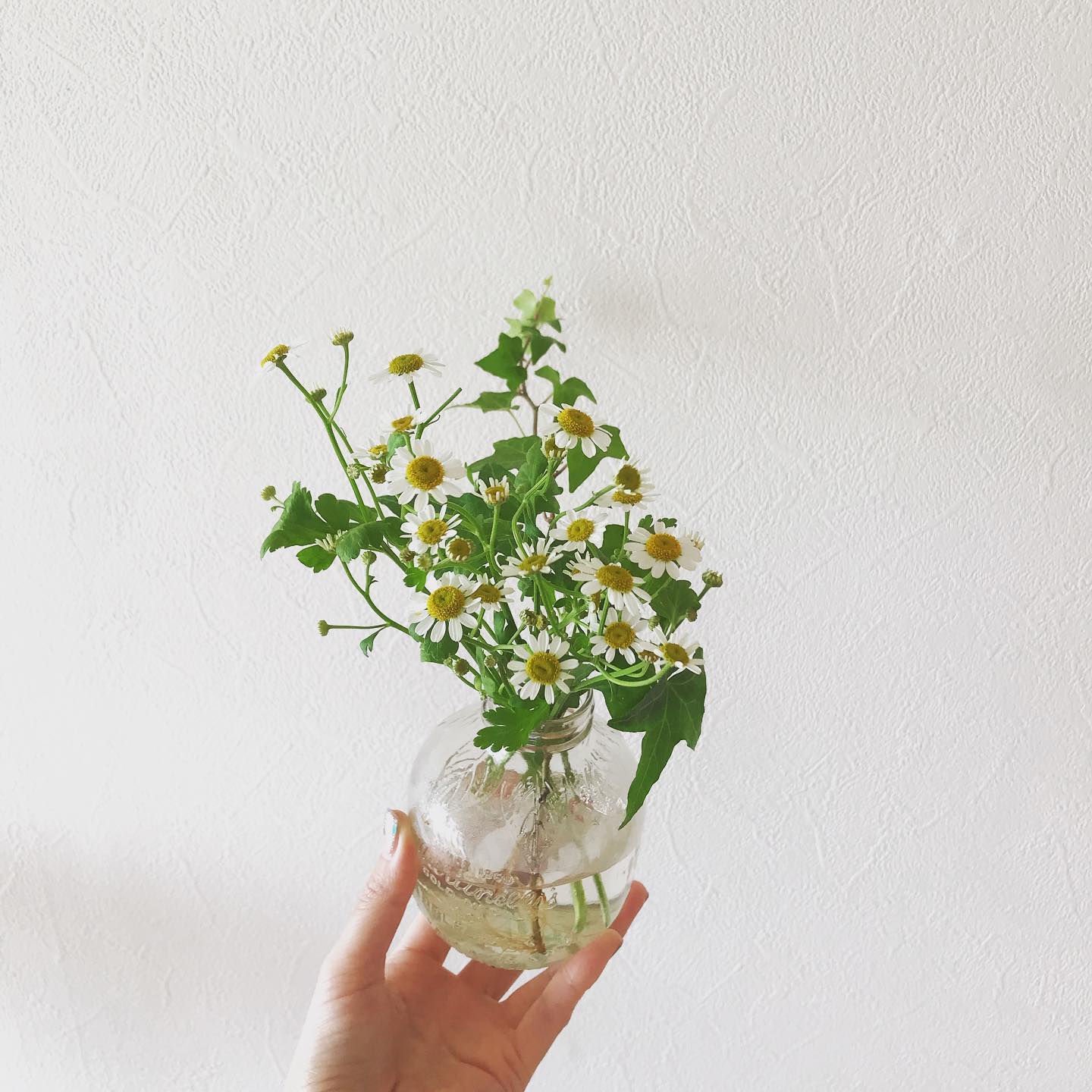 from Instagram_