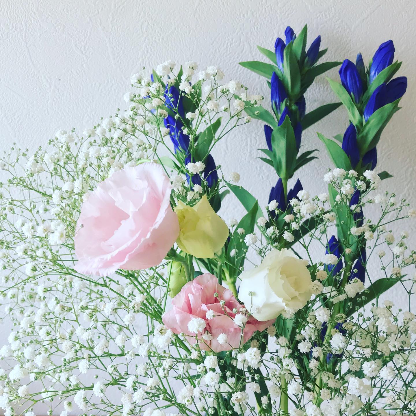 from Instagram_