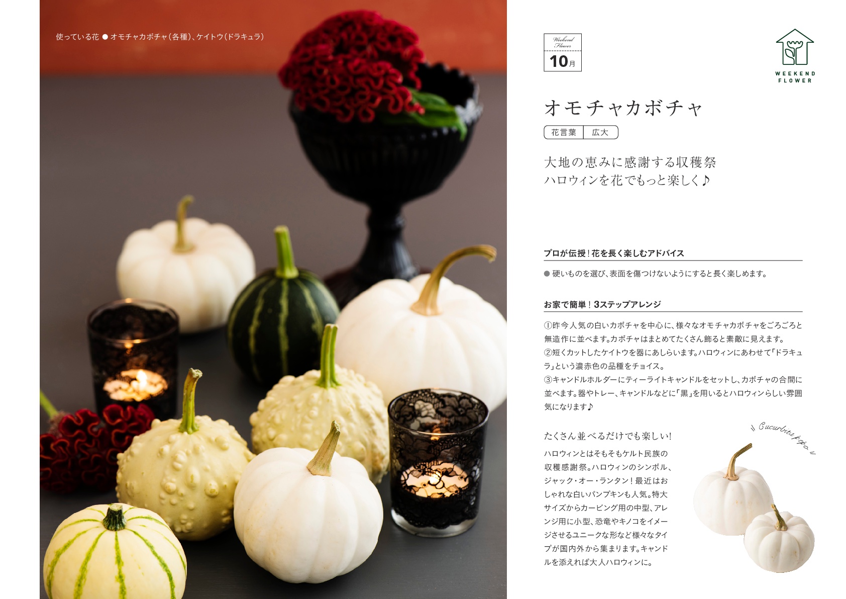 10月オモチャカボチャ 花のある週末を Weekend Flower 花の店サトウ 公式サイト