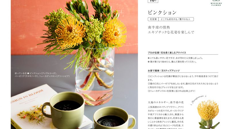 【10月ピンクッション】花のある週末を【WEEKEND FLOWER】