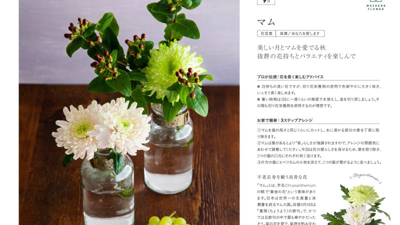 【9月マム】花のある週末を【WEEKEND FLOWER】