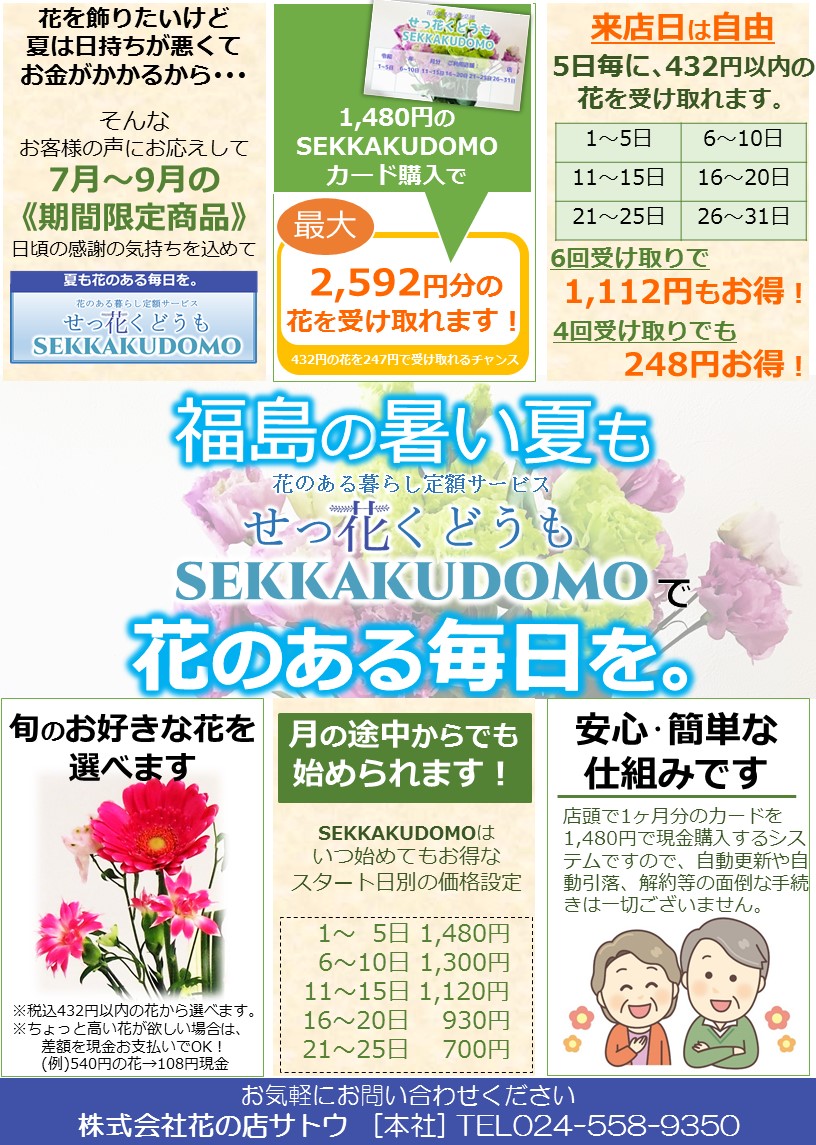 SEKKAKUDOMOチラシ