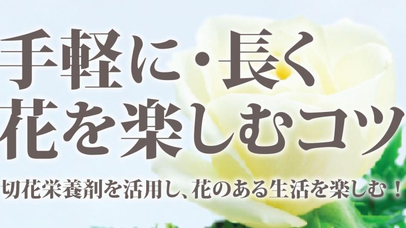 手軽に！長く！　お花を楽しむコツ