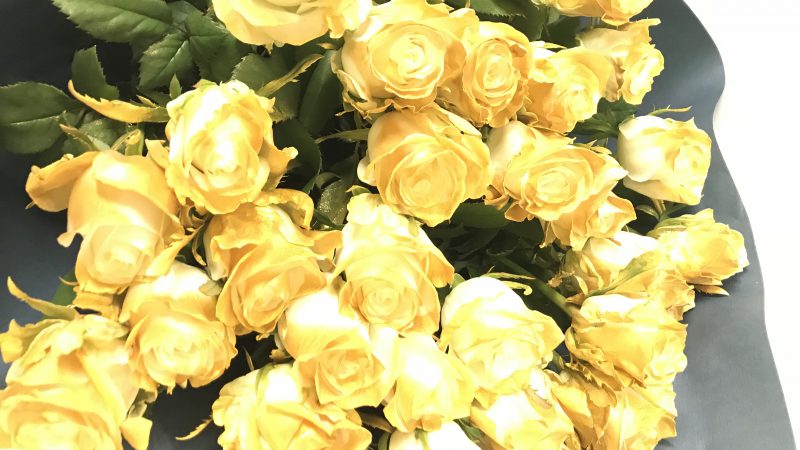 パラリンピックのアルペンスキー競技の鈴木猛史選手へ、縁起の良い”金のバラの花束”を贈呈