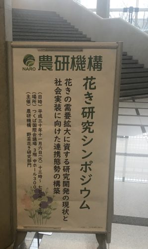 花き研究シンポジウム