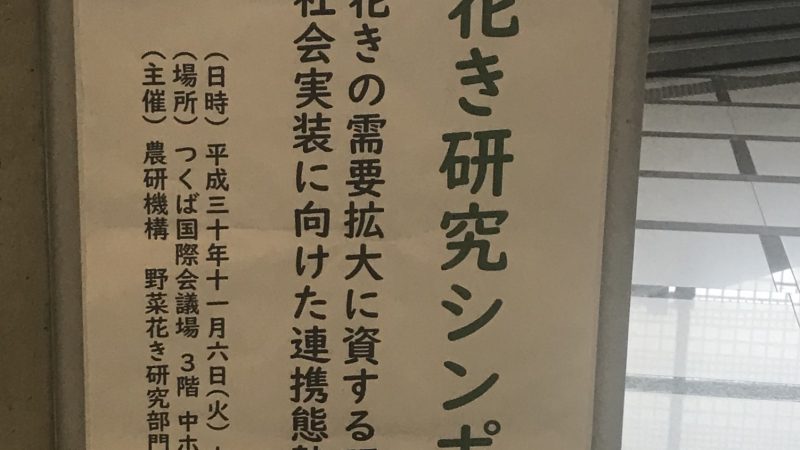 農研機構「花き研究シンポジウム」に出席しました