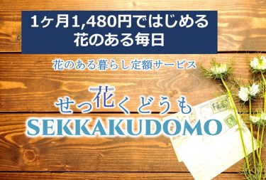 sekkakudomo