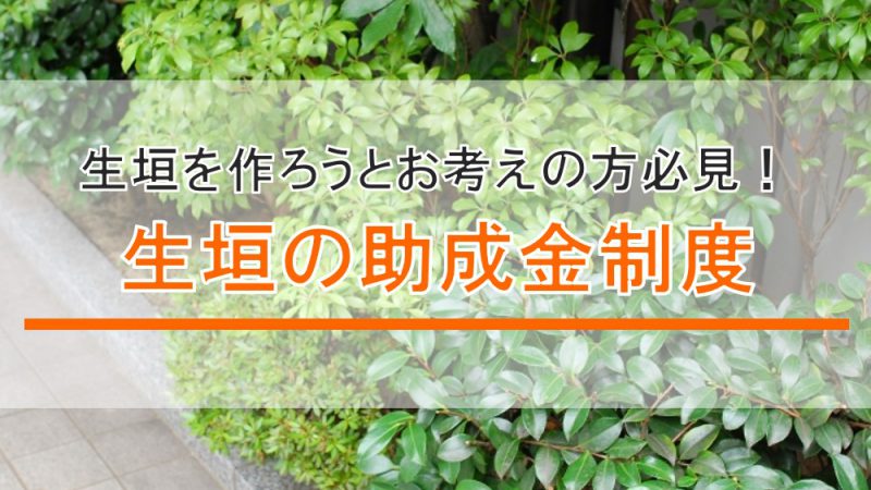 まだ間に合う！　生垣の助成金