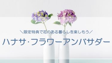 花き日持ち品質管理認証制度 花の店サトウ 公式サイト 花き日持ち品質管理認証制度 花の店サトウ 公式サイト